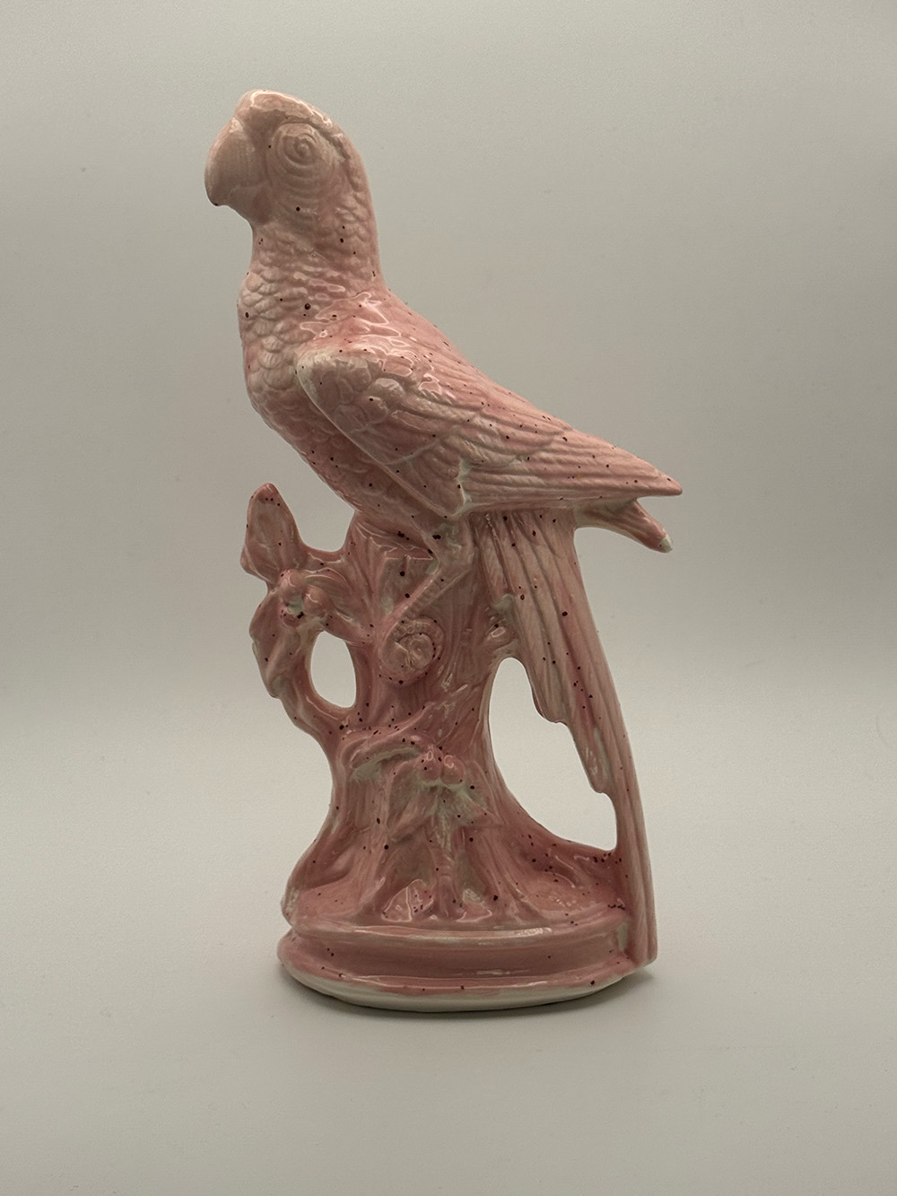 No. 3 · Parrot